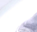 Lama Su