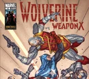 Wolverine: Weapon X Vol 1 12
