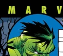 Incredible Hulk Vol 2 29