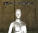 Gannos Voidwhisper