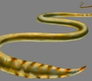 Gusano cerebral