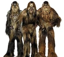Wookiee