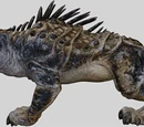 Massiff
