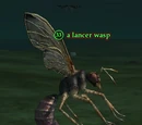 A lancer wasp