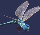 Wetlands skimmer