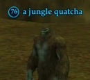 A jungle quatcha