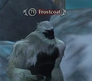 Frostcoat