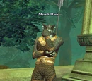 Merrik Hanz