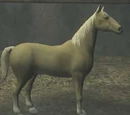 Horse