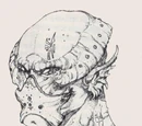 Gnullith