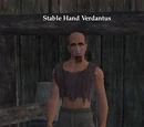 Stable Hand Verdantus