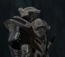 Avatar of Justice