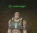 A Vallon lugger