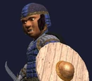 Enchanted Round Shield