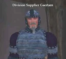 Division Supplier Gaertarn