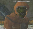 Thaumaturge Zumzum
