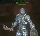 A Vallon grunt