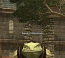Foorog Gallantblade