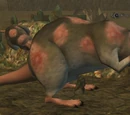 King Itchhide