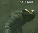 Chief Kaorf (Hidden VoK)