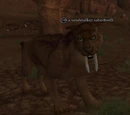 A sandstalker sabertooth