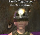 Zastik Togginscog