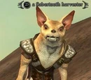 A Sabertooth harvester