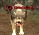 Oovalinius