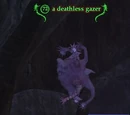 A deathless gazer