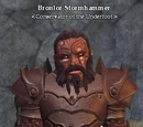 Bronlor Stormhammer
