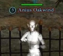 Anius Oakwind