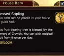 Blessed Sapling