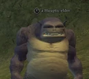 Huuptic elder