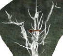 Grimroot