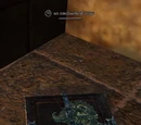 An enchanted tome