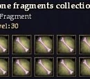Weathered bone fragments collection