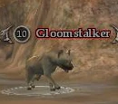 Gloomstalker