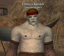 Enforcer Kurdek