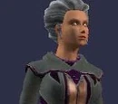 Defiled Sanguine (Armor Set)