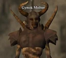 Gynok Moltor
