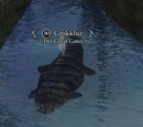 Grokkluz