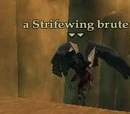 Strifewing brute