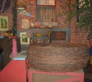 Big Bird's nest