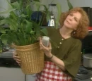 Anne Meara