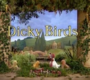 Episode 15: Dicky Birds