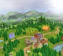 Woodland Valley