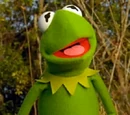 Young Kermit