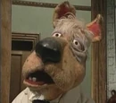 Colonel Claghound