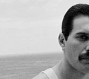 Freddie Mercury