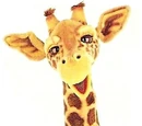Alexis the Giraffe